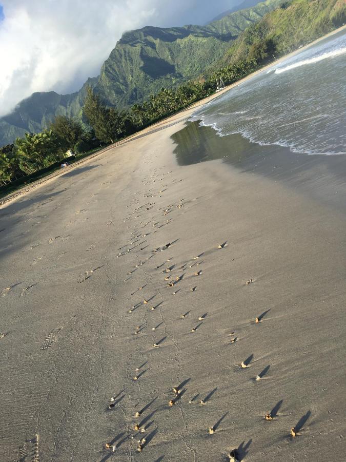 Puu Poa Ocean Bluff Condo, Incredible Views, Walk To Beaches, Pool & Tennis Princeville Eksteriør billede