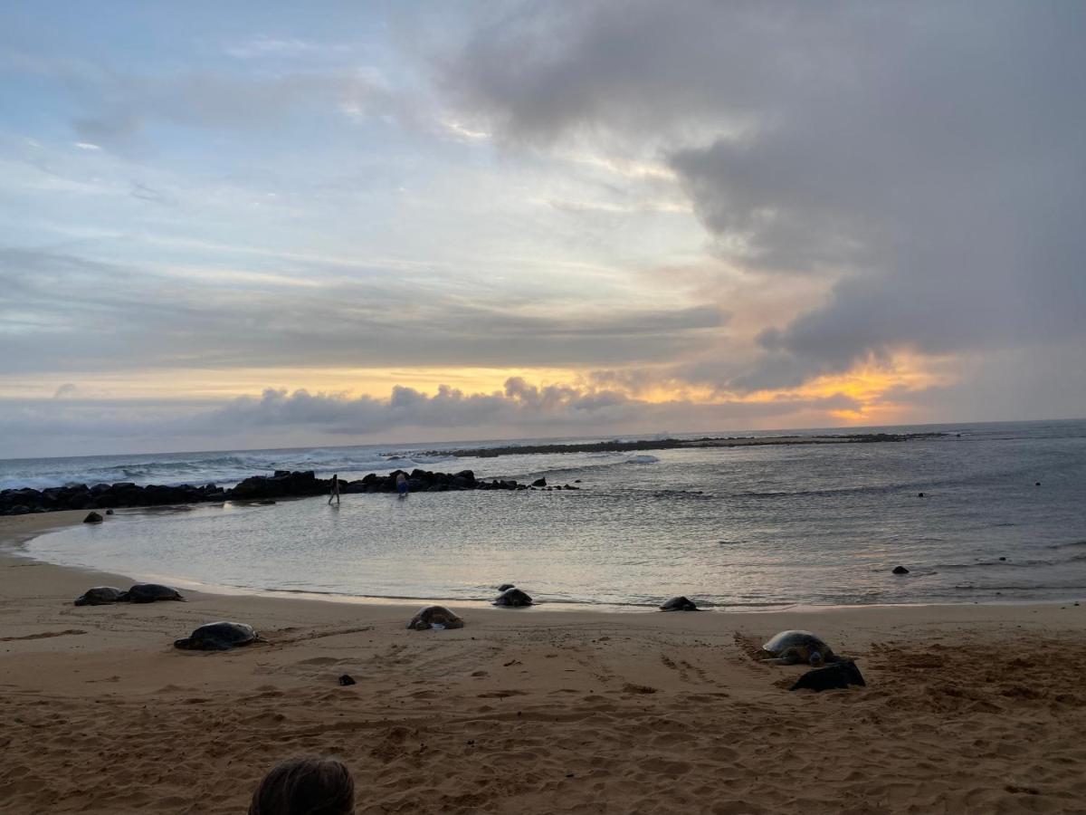 Puu Poa Ocean Bluff Condo, Incredible Views, Walk To Beaches, Pool & Tennis Princeville Eksteriør billede