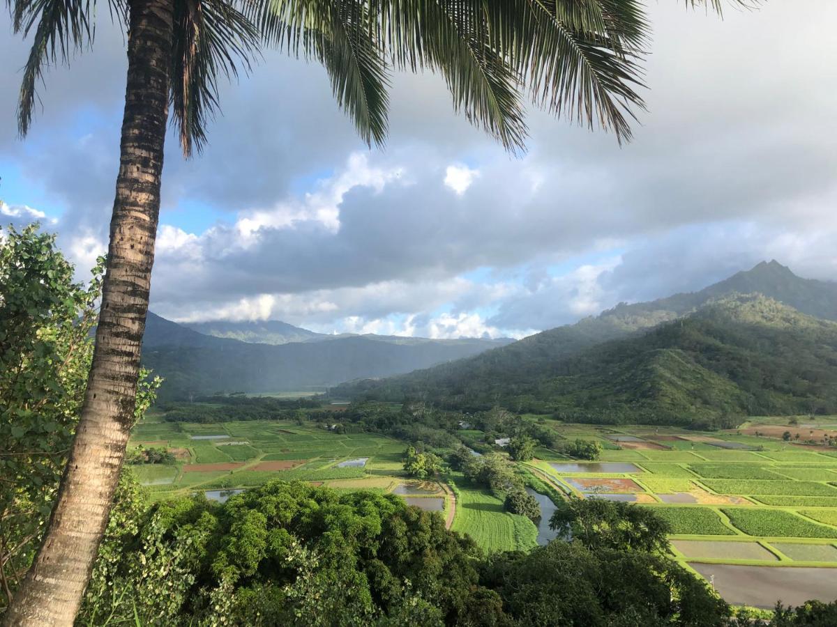 Puu Poa Ocean Bluff Condo, Incredible Views, Walk To Beaches, Pool & Tennis Princeville Eksteriør billede