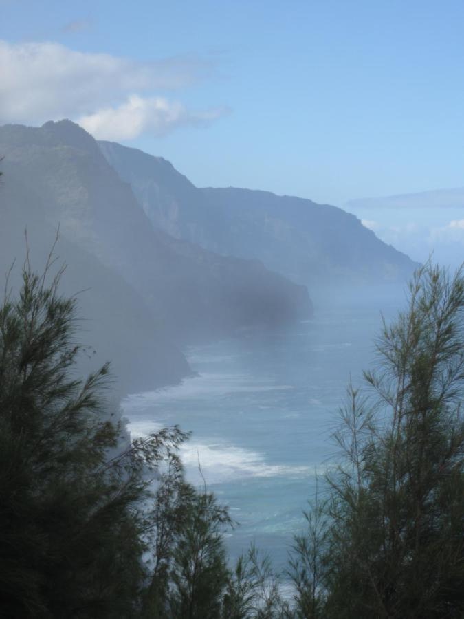 Puu Poa Ocean Bluff Condo, Incredible Views, Walk To Beaches, Pool & Tennis Princeville Eksteriør billede