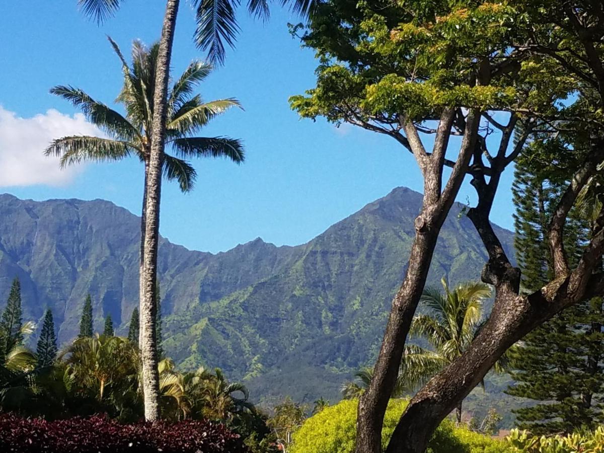Puu Poa Ocean Bluff Condo, Incredible Views, Walk To Beaches, Pool & Tennis Princeville Eksteriør billede